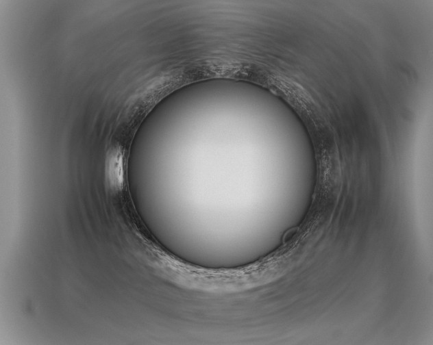 X0000115600042200911101415