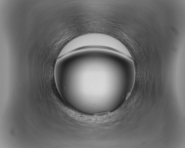 X0000115600043200911101415