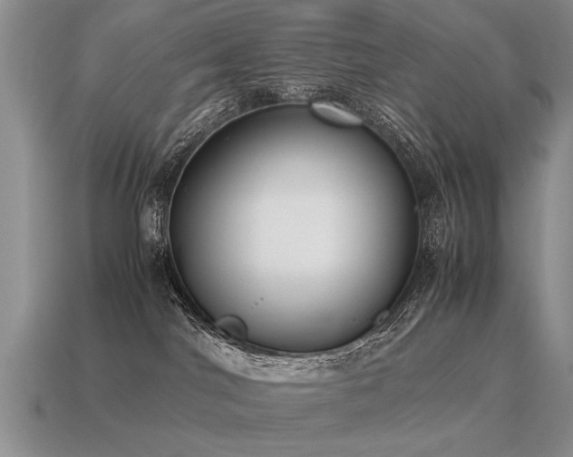 X0000115600044200911101415