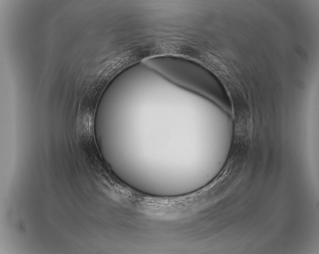 X0000115600045200911101415