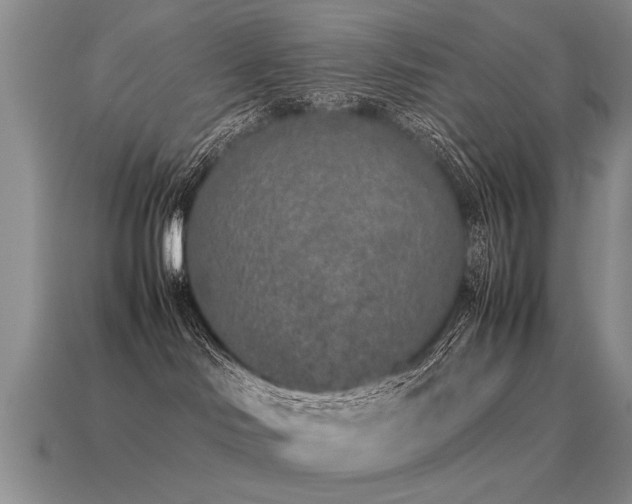 X0000115600046200911101415