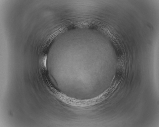 X0000115600047200911101415