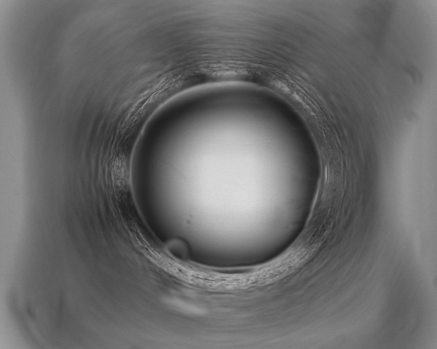 X0000115600048200911101415