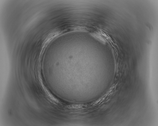 X0000115600049200911101415