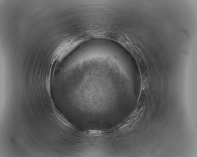 X0000115600052200911101415