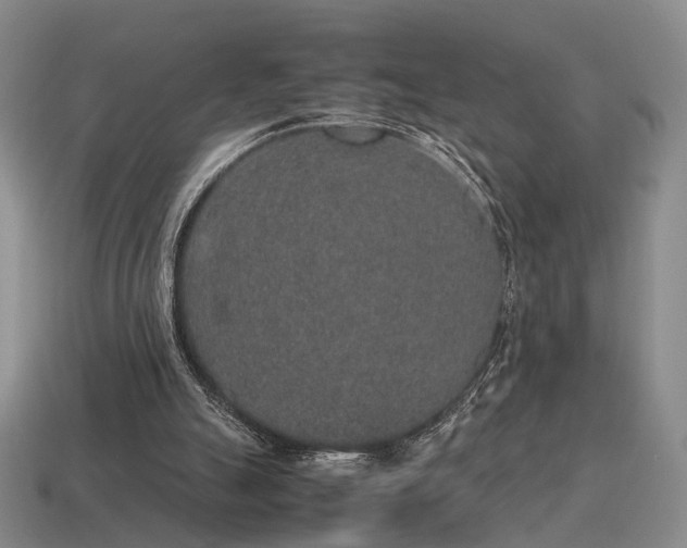 X0000115600055200911101415