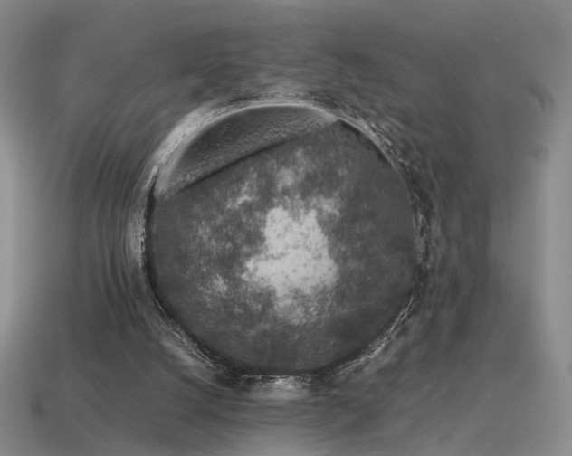 X0000115600056200911101415