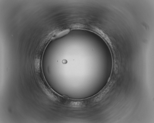 X0000115600057200911101415