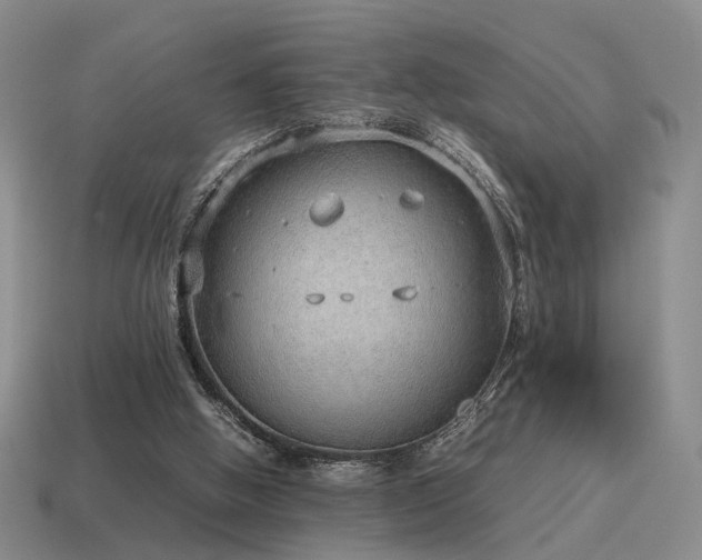 X0000115600058200911101415