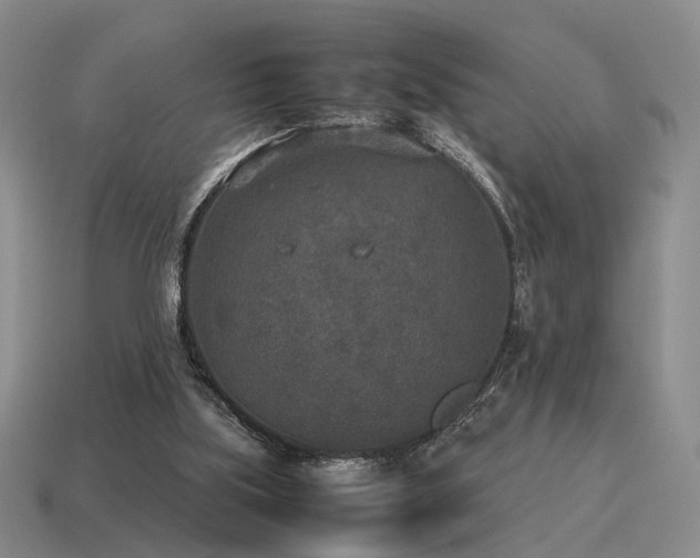 X0000115600059200911101415