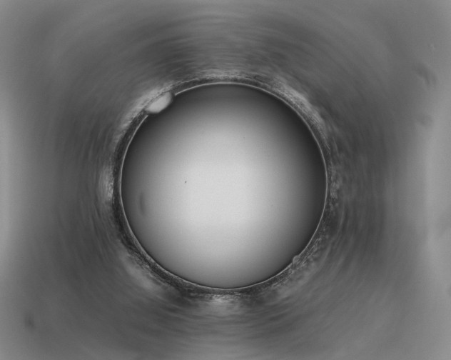 X0000115600060200911101415