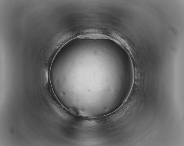 X0000115600061200911101415