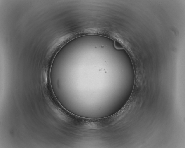 X0000115600062200911101415