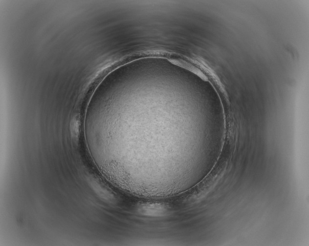 X0000115600063200911101415