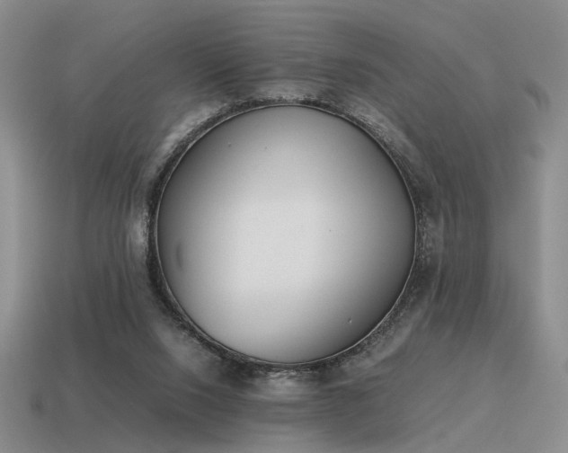 X0000115600064200911101415