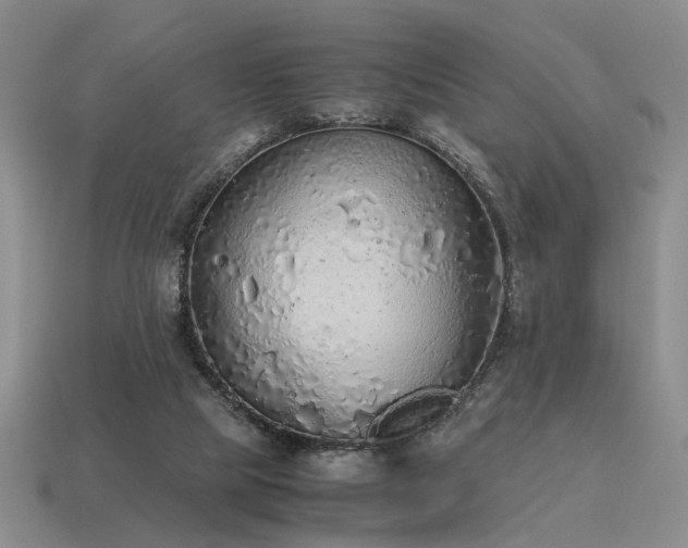 X0000115600065200911101415