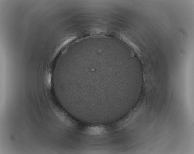 X0000115600067200911101415