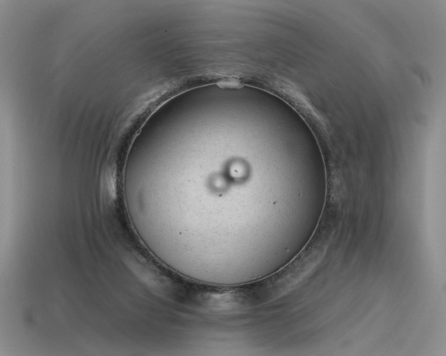 X0000115600068200911101415