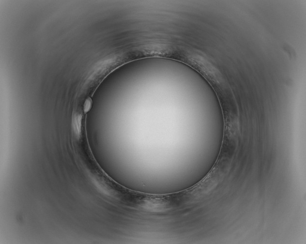 X0000115600070200911101415