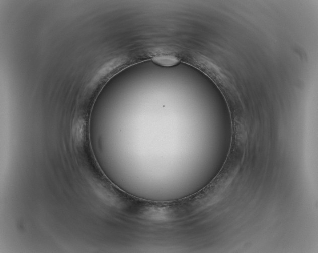 X0000115600071200911101415