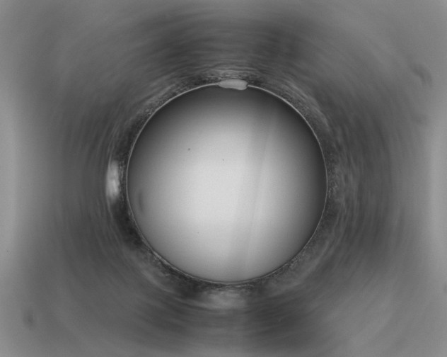 X0000115600075200911101415