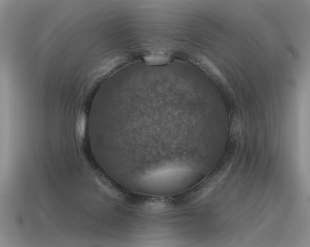 X0000115600076200911101415