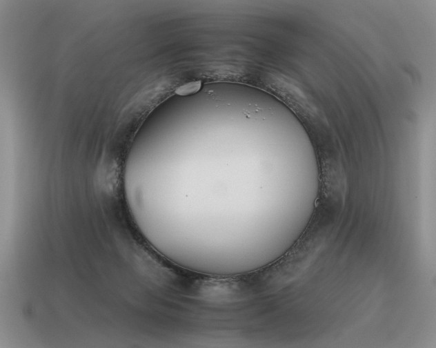 X0000115600077200911101415