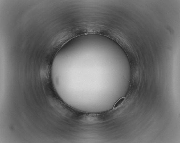 X0000115600078200911101415