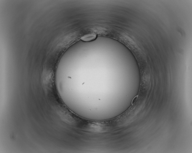 X0000115600079200911101415