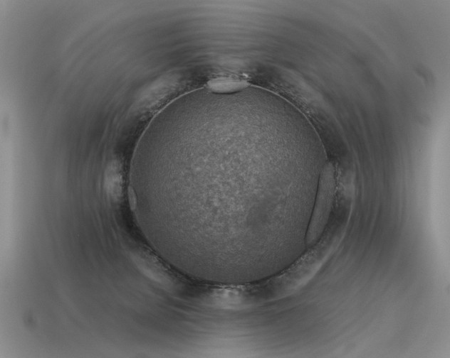 X0000115600080200911101415