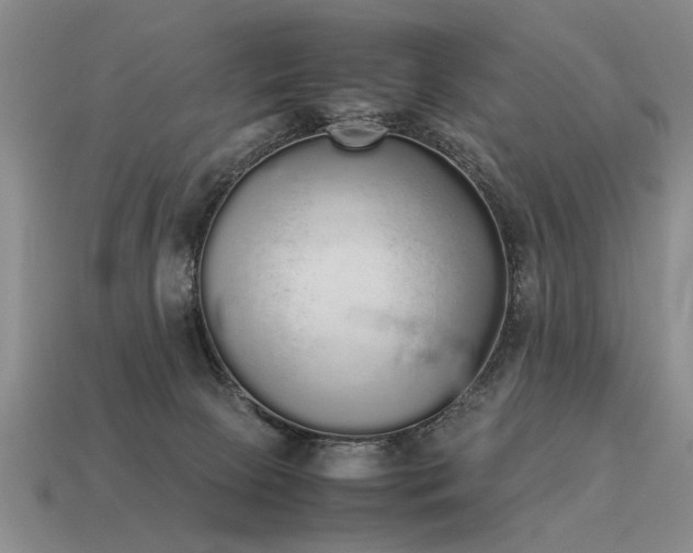 X0000115600081200911101415