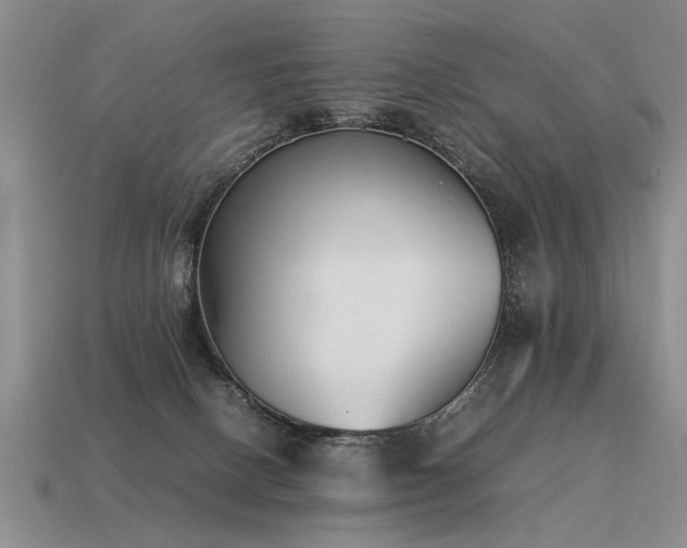 X0000115600082200911101415