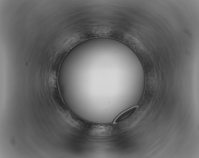 X0000115600083200911101415