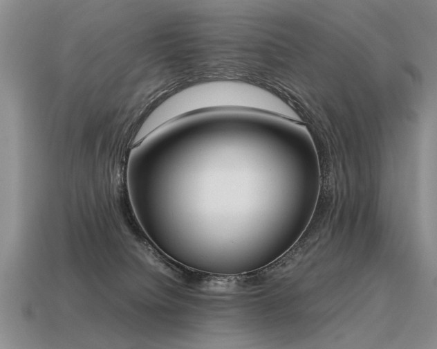 X0000115600084200911101415