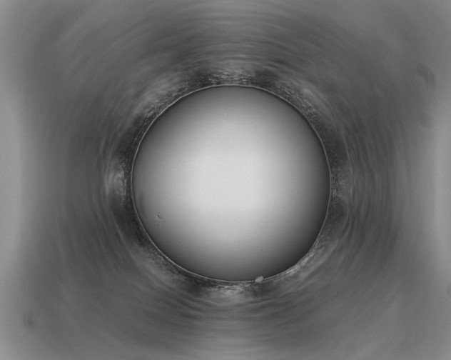 X0000115600086200911101415