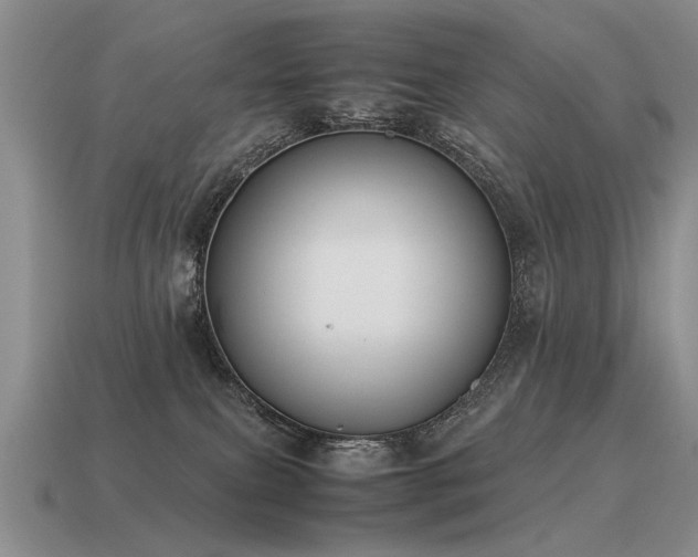 X0000115600087200911101415