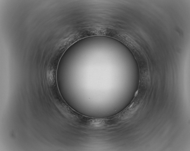 X0000115600088200911101415