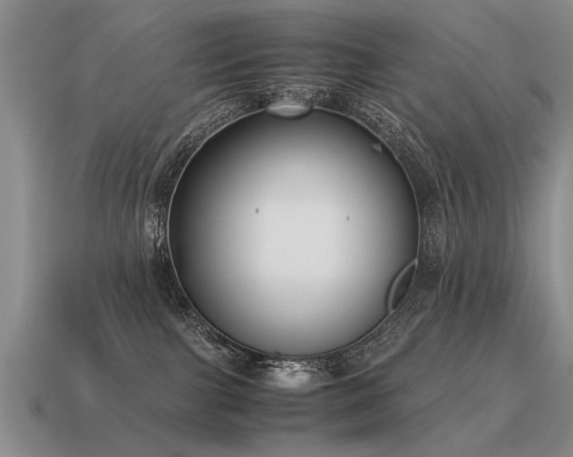 X0000115600091200911101415