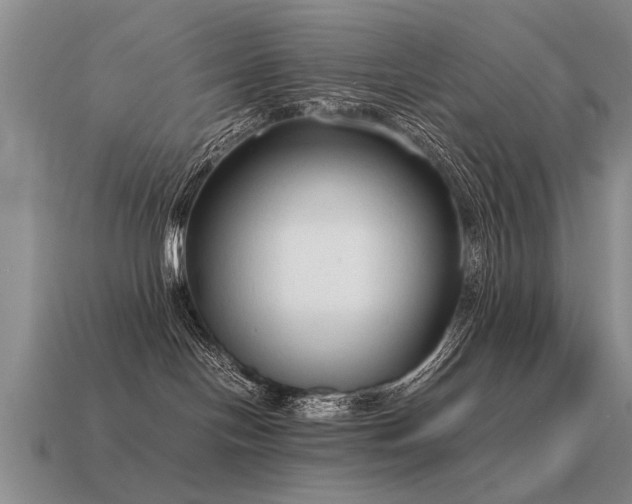 X0000115600094200911101415