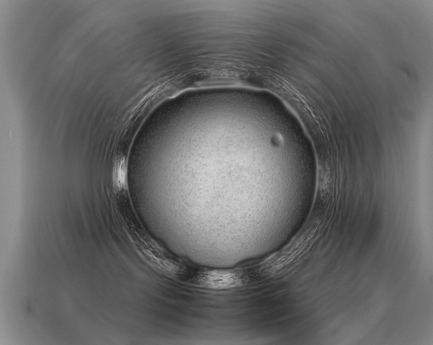 X0000115600095200911101415