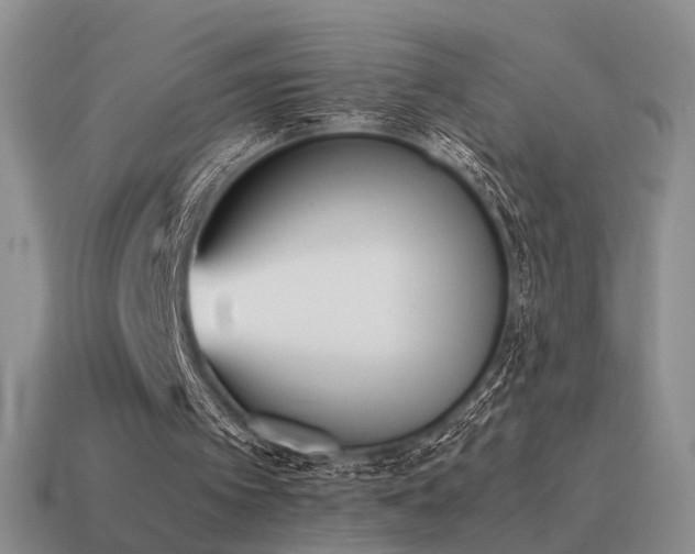 X0000115600097200911101415