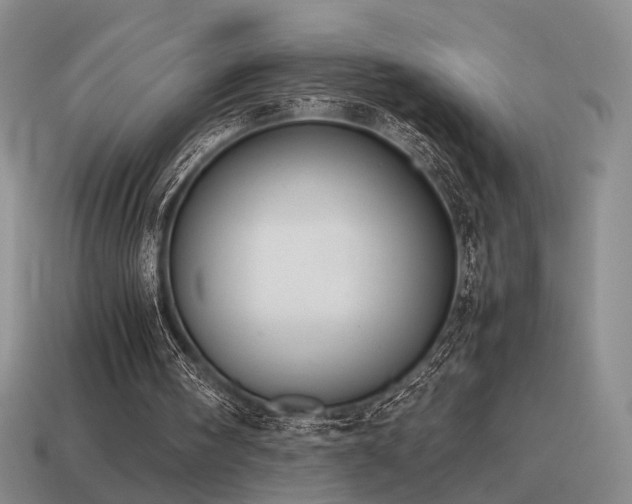 X0000115600098200911101415