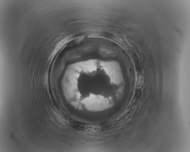 X0000115600099200911101414