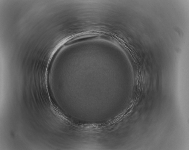 X0000115600100200911101414