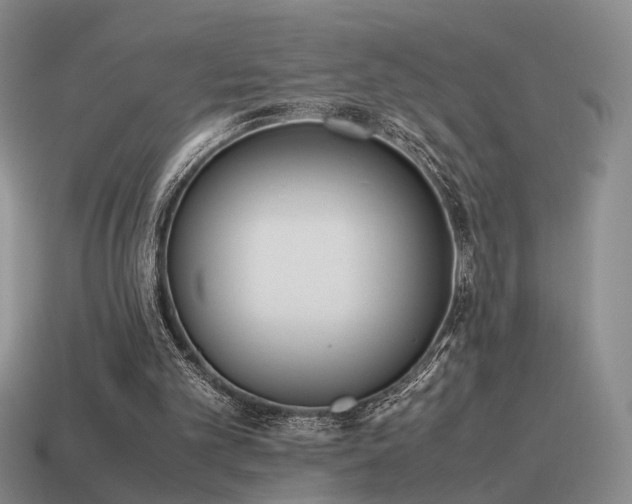 X0000115600101200911101414