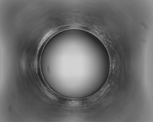 X0000115600102200911101414