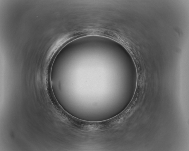 X0000115600103200911101414