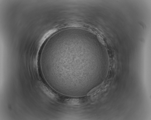 X0000115600104200911101414