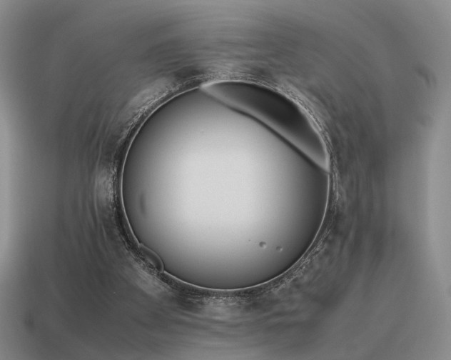 X0000115600105200911101414