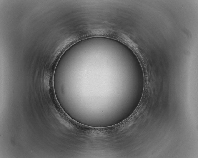 X0000115600106200911101414